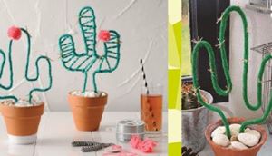Kidsworkshop cactus maken