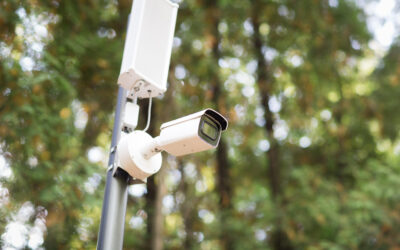 Meeste aanmeldingen voor Camera in Beeld in Oost-Nederland