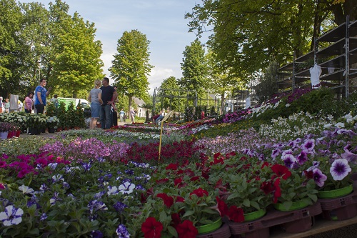 Bloemen- en Tuinmarkt tegenover kasteel Cannenburgh