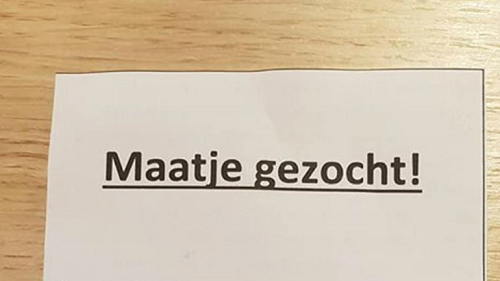 Wil jij maatje worden?