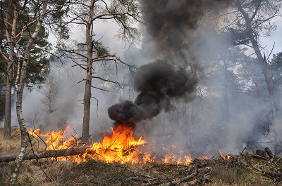 Risico op natuurbranden: fase 2 van kracht