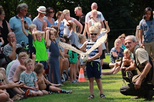 Roofvogelshow op de Helfterkamp