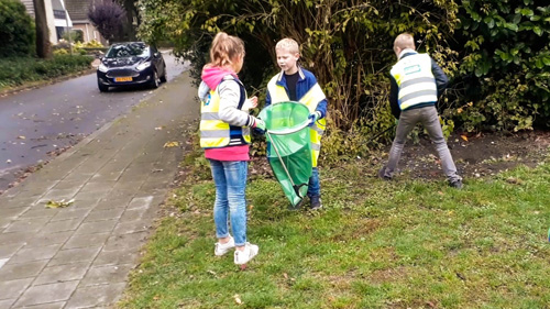 De Violier houdt haar omgeving schoon