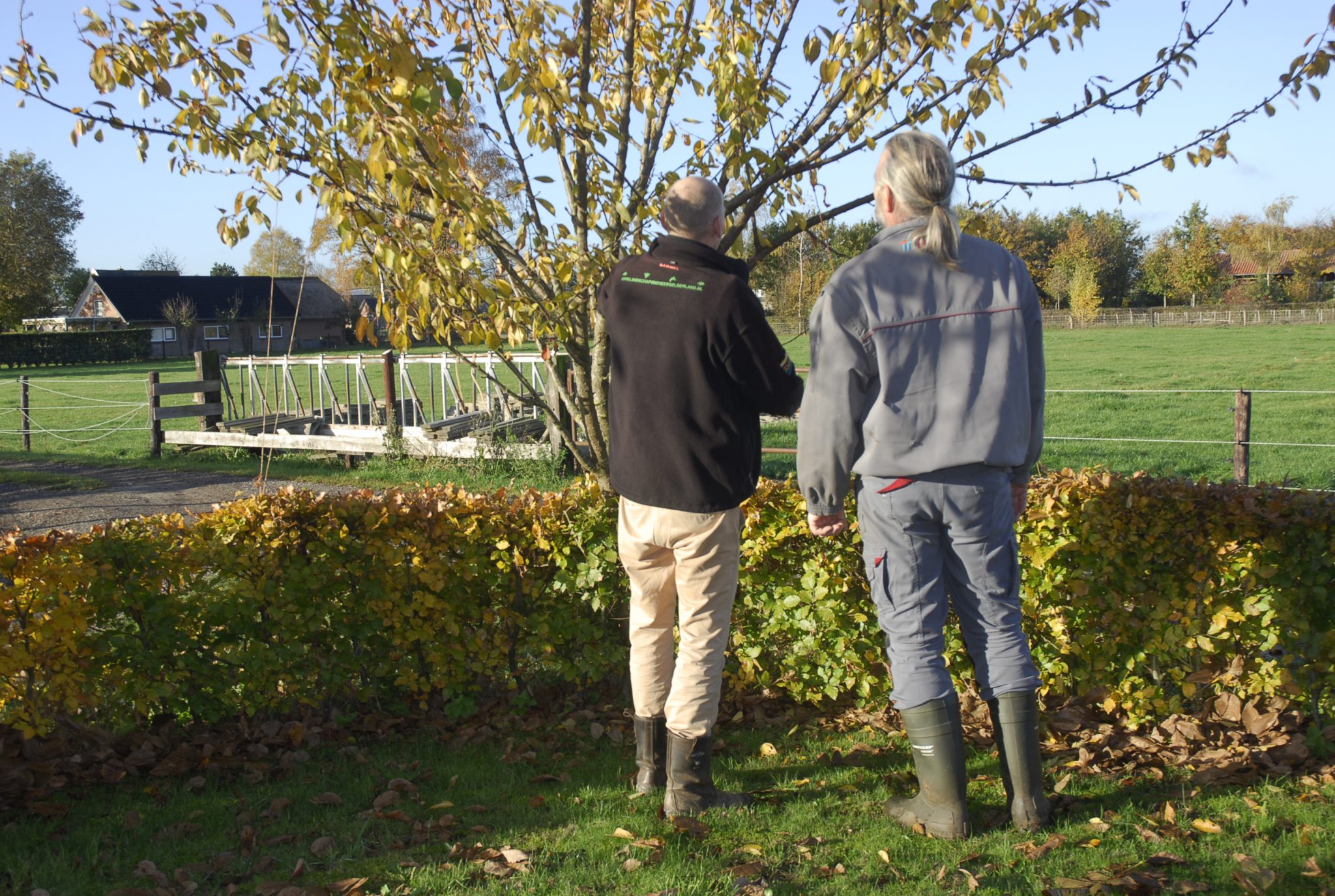 Bomen en struiken planten voor een mooier buitengebied