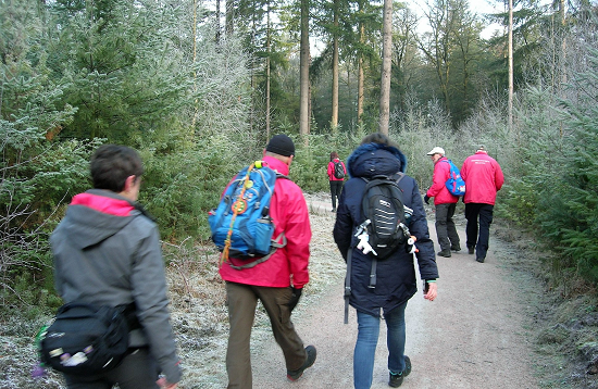 Boerenkoolwandeltocht Epe