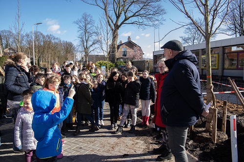 Aanplant laatste bomen aan Oude Wisselseweg