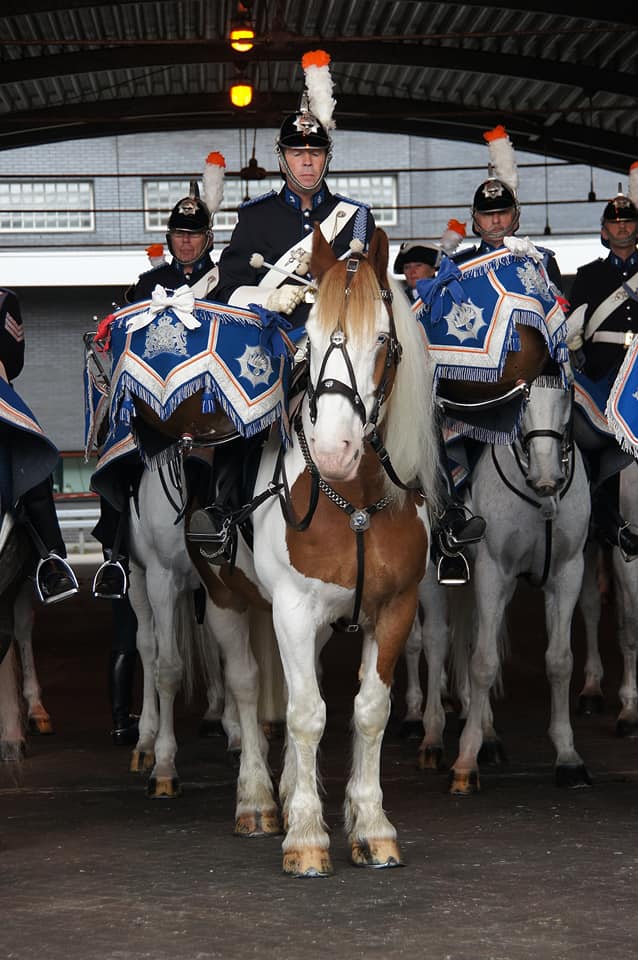 Tinker Bobby … een bijzonder paard is helaas overleden.