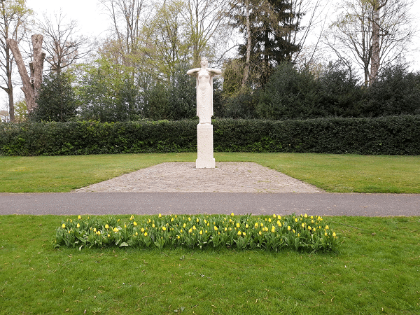 Freedom Flame tulpen staan volop in bloei