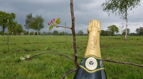 Herenboerderij Apeldoorn Noord kan binnenkort van start gaan