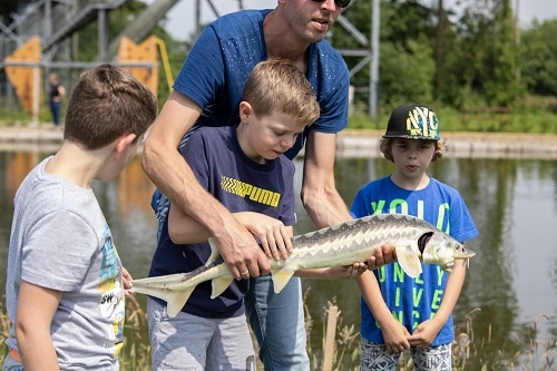 Kindervismiddag catch&release op de avonturenvijver