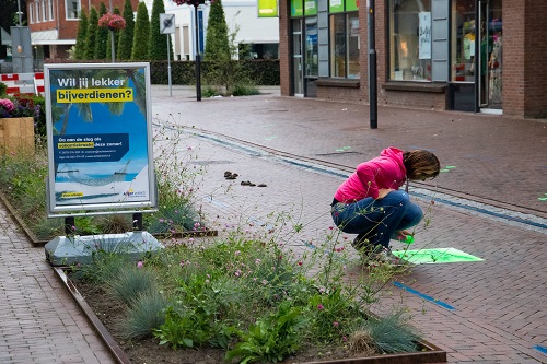 Hertenpootjes en herten geverfd in de looproutes