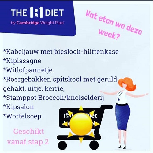 Brenda The 1:1 Diet Vaassen