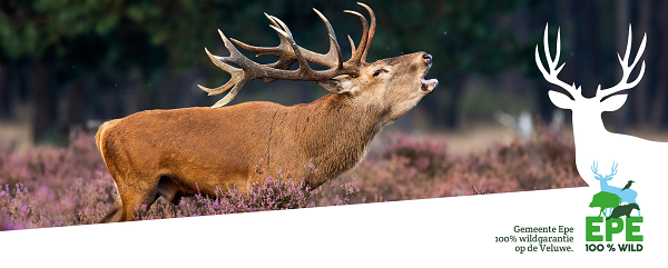IVN Beleefweekend Veluwe 25/26/27 september