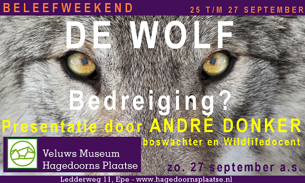 Veluws Museum Hagedoorns Plaatse viert september 2020: Van Open MONUMENTENdag t/m de WOLF.