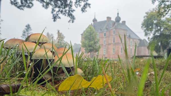 Herfstprachtig Cannenburch