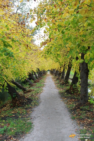 Lobke op pad bij de Cannenburch, de herfst op zijn mooist!