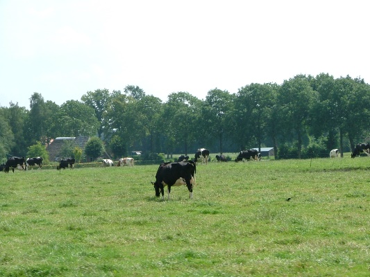Herstelplan Buitengebied Epe ter inzage vanaf 28 januari 2021