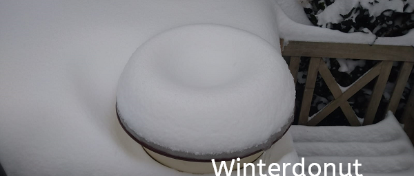 Deel je sneeuw, schaats, slee en sneeuwselfies met Vaassen Actief