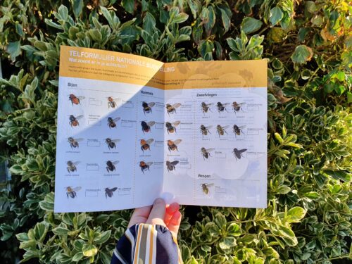 Kom in actie! Op 17 & 18 april is de Nationale Bijentelling.