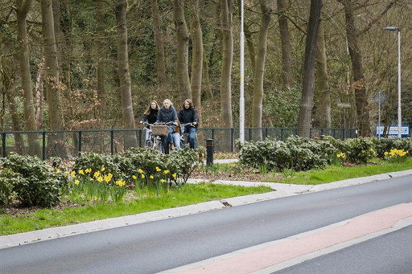 Werkzaamheden N794 Heerderweg – Epe