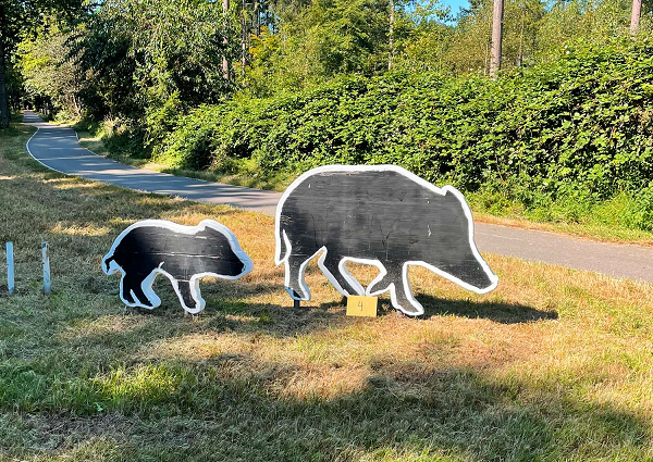 Fietsnetwerk.nl lanceert speciale nazomerroute met Golden Ticket in Epe