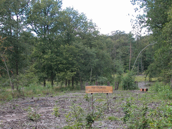 Nieuw herinneringsbos op bijzonder landgoed in Elspeet