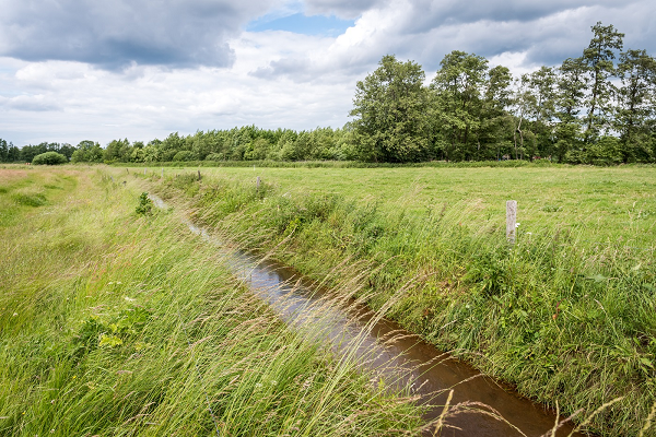 Nieuwe natuur in Emst-Achterhegge