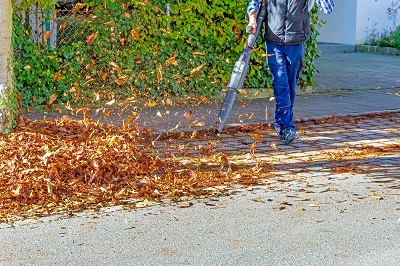 Bladruimen weer gestart