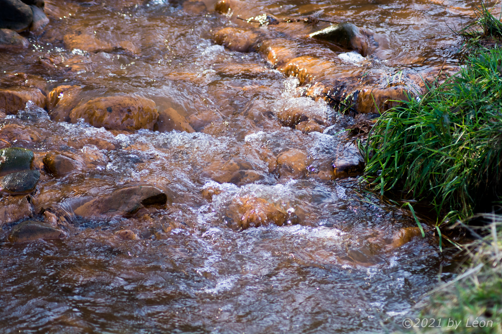 Projectplan Nijmolense Beek is vastgesteld
