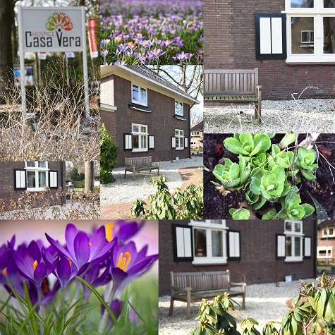 Open dag bij hospice Casa Vera
