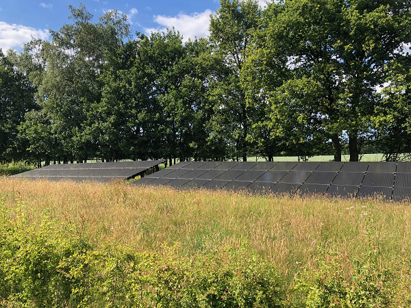 Werkzaamheden wegfrezen van de stobben van omgevallen bomen