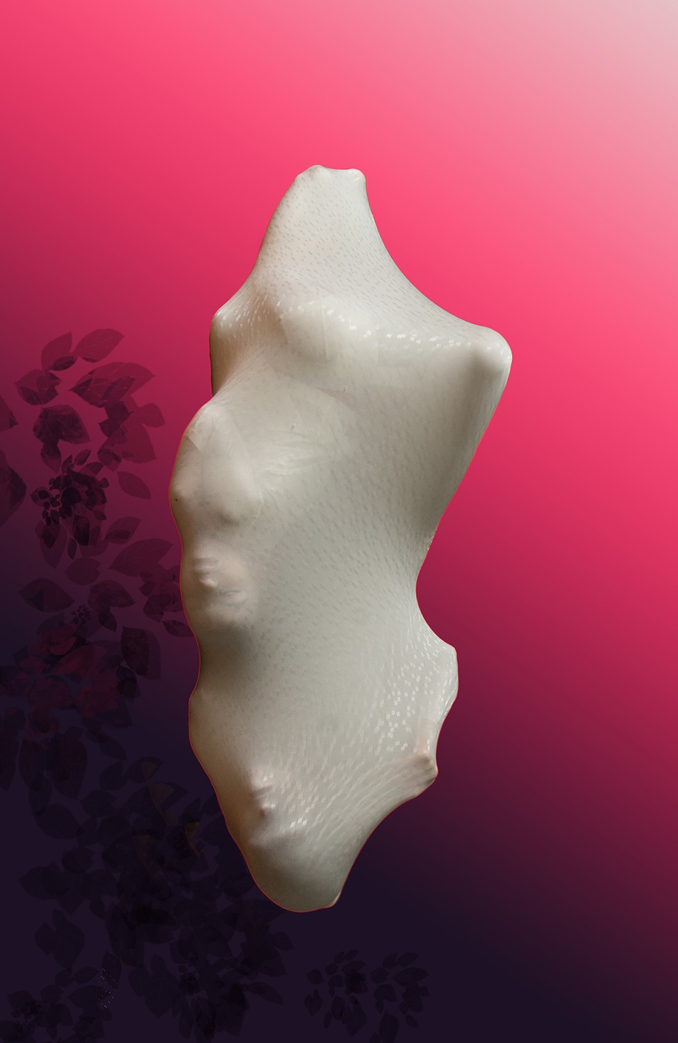 Nieuwe expositie in Kunstkamer Vaassen