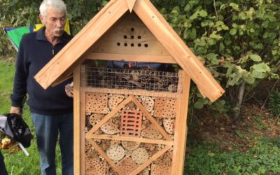 Opening insectenhotel Emst 5 november 2022
