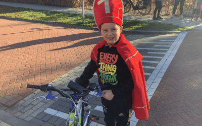 Aankomst Sinterklaas in Emst