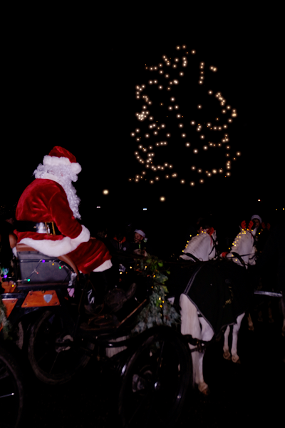Kerstboom-de-vecht