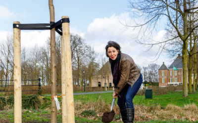 Wethouder Annemiek van Loon plant boom bij Kasteel Cannenburch in Vaassen.