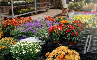 Bloemen en tuinmarkt Vaassen