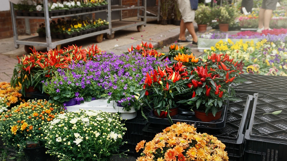 Bloemen en tuinmarkt Vaassen