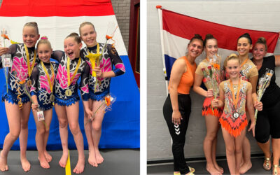 SAV WINT GOUD EN BRONS OP NK