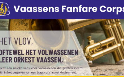 Volwassen Leer Orkest Vaassen