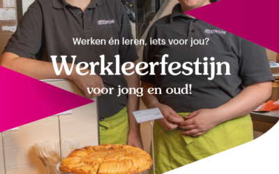 Werkleerfestijn in Epe