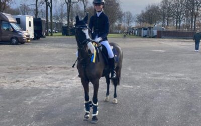Lotte Driessen 5e prijs op Gelderse Kampioenschappen springen