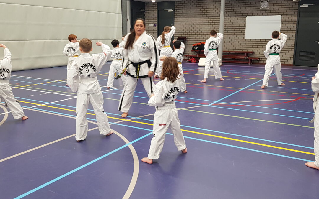 Extra Taekwon-Do jeugdtraining in Vaassen