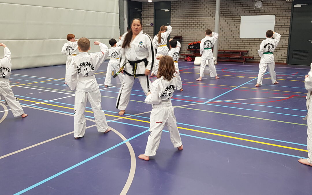 Extra Taekwon-Do jeugdtraining in Vaassen