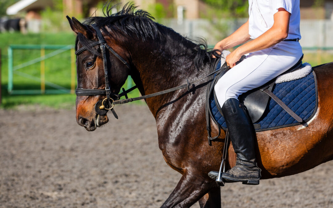 Uitslag HV de Cannenburgh