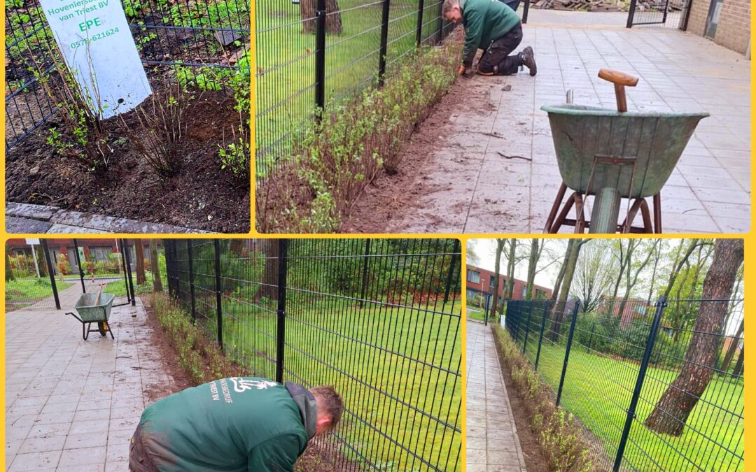 Aanplanting entree Speeltuin-wijkvereniging de Kouwenaar Vaassen