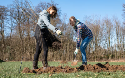 Doe mee met beplantingsproject Maak je erf goed Gelderland