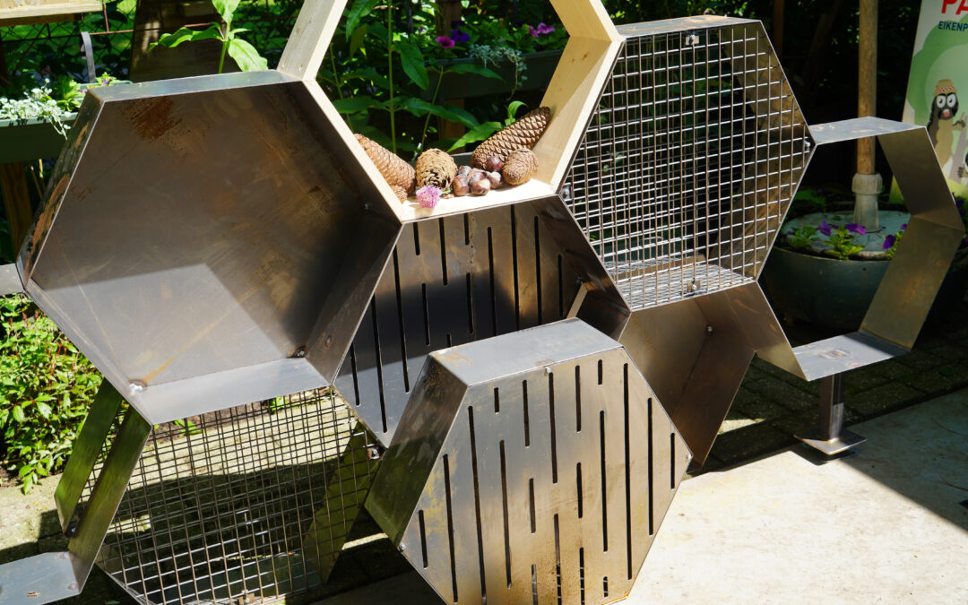 Week van de biodiversiteit… Opening Vlinderhuis