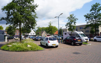 Biodiversiteit in Epe, Een kleurrijke update van de groen beheerder Vebego groen!