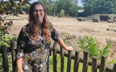 Miniworkshop plantjes stekken